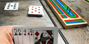 Lion roar in Llanishen Crib League