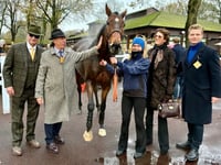 Venetia marks 30 years with superb second for Royale Pagaille