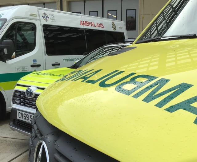 Sore throats and wobbly teeth: Non-emergency ambulance calls revealed
