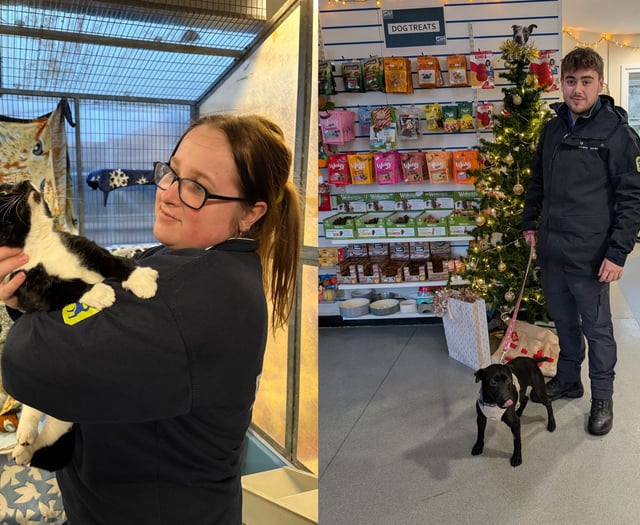 RSPCA staff work through Christmas to care for rescued animals