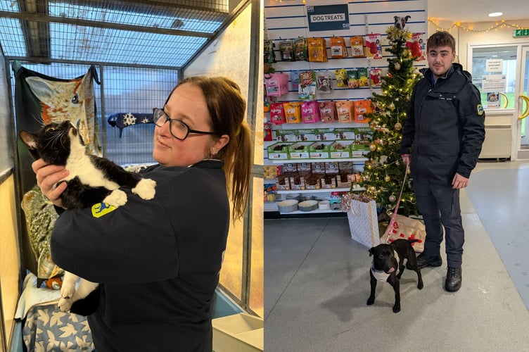 The RSPCA's Chloe Wakeham and Ethan Griffin will be working over the festive period