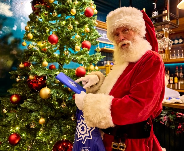 Survey reveals the biggest Christmas 'emergencies'