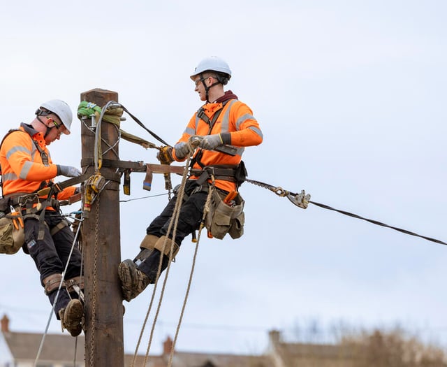 Prepare for power cuts as heavy snow is forecast