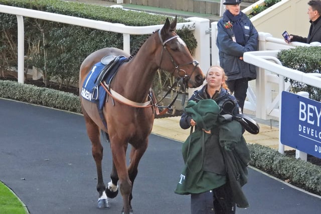 Steel Ally provides festive filip for Sam
