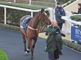 Steel Ally provides festive filip for Sam
