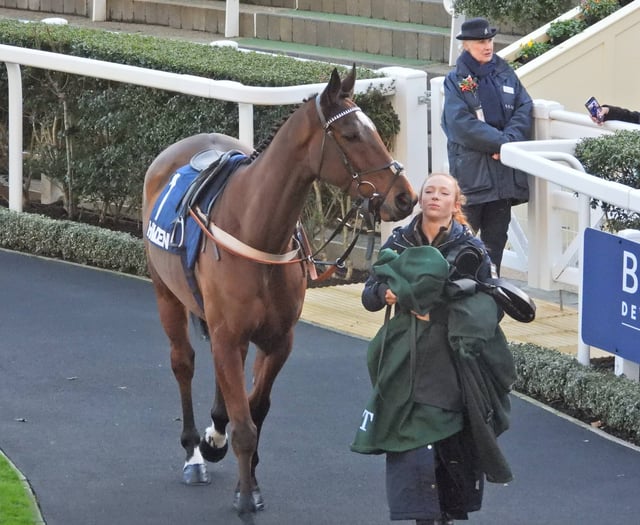 Steel Ally provides festive filip for Sam