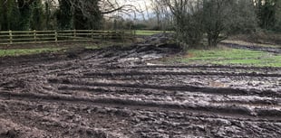 Council promises to reinstate damaged land on Meadows