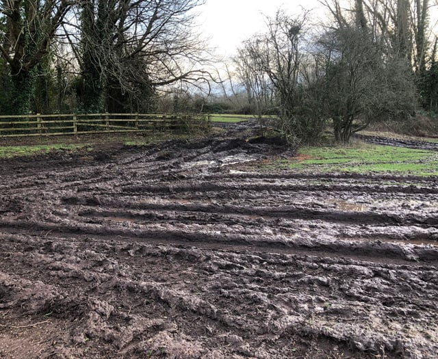 Council promises to reinstate damaged land on Meadows