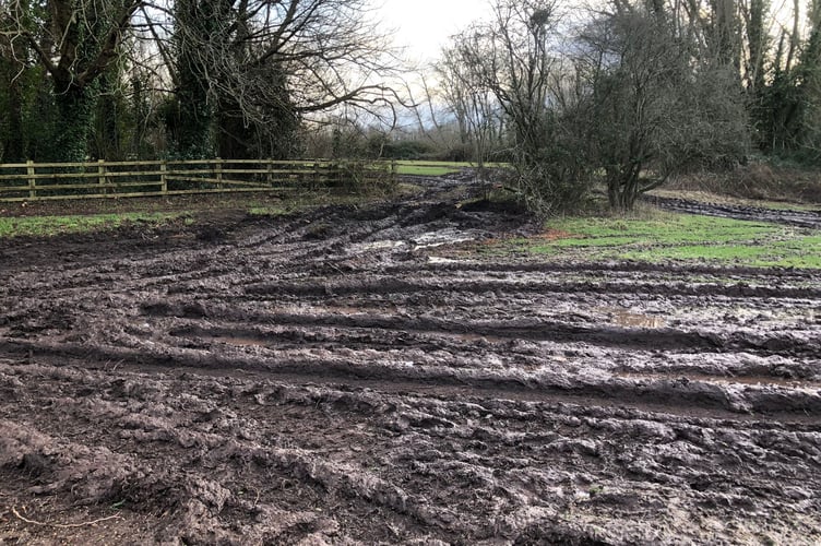 Castle meadows churned up