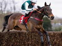 Grand National winner Venetia bids for Gold Cup glory