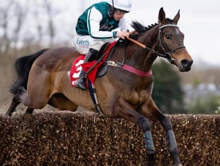 Grand National winner Venetia bids for Gold Cup glory