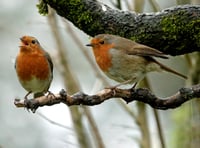 Gwent Green Grid secures £999K