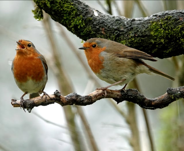 Gwent Green Grid secures £999K