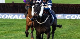 Jubilee Express kicks on from Welsh National blow in Devon National 