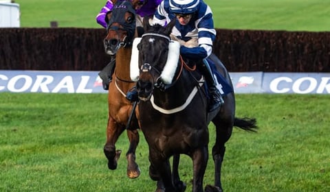 Jubilee Express kicks on from Welsh National blow in Devon National 