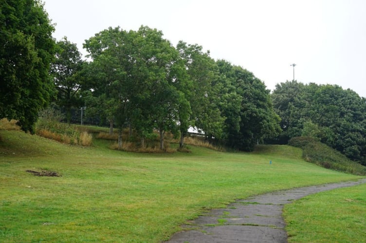 A view from the proposed McDonald's site on the Newhouse Farm Industrial Estate Chepstow, the service road linking to the M48 roundabout is behind the bank of trees.