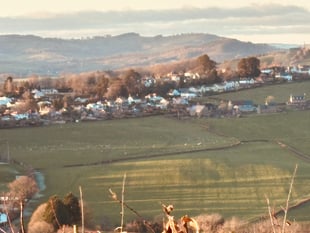 Homes plan to be reviewed across county