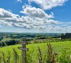 Welsh Tories slam Labour's rural policies