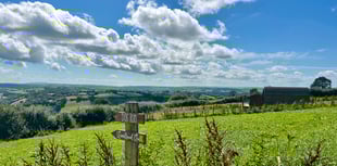 Welsh Tories slam Labour's rural policies