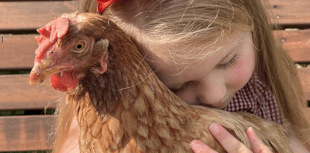 Could you save a hen by offering her a new home this Easter?