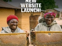 Bee charity launches new website to inspire and share

