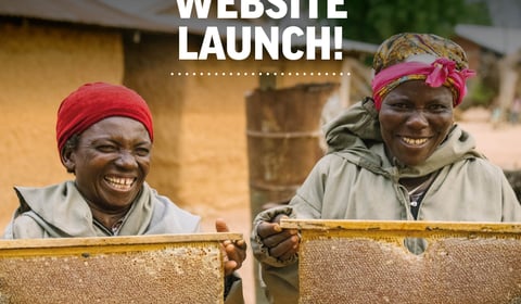 Bee charity launches new website to inspire and share

