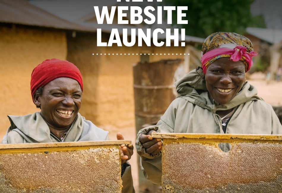 Bee charity launches new website to inspire and share

