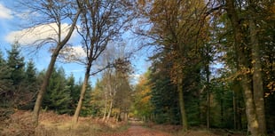 Nuclear waste plan for Dean mines scrapped in '50s