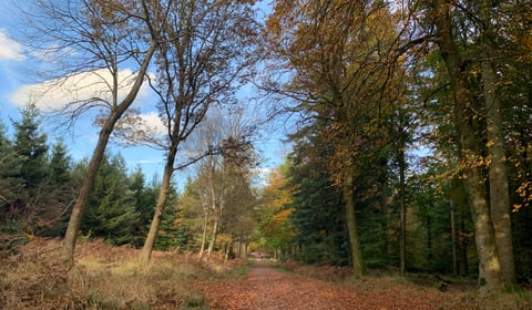 How public outcry stopped nuclear waste plan for Forest mines