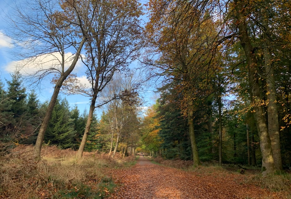 Nuclear waste plan for Dean mines scrapped in '50s