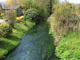 EA declares sewage plant overflow into Wye tributary brook 'illegal'