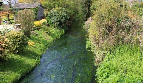 EA declares sewage plant overflow into Wye tributary brook 'illegal'