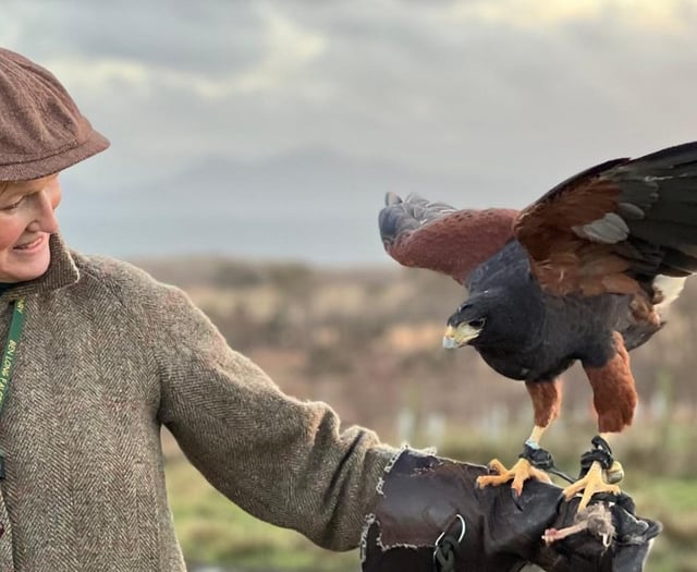 Stars continue to shine for Tintern heritage project.