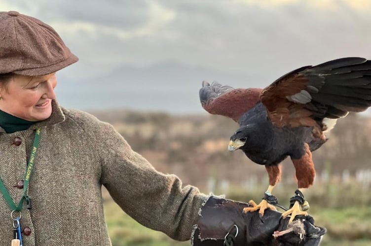 Candida Meyrick, highly regarded novelist (as Candida Clark) and author of Be More Bird