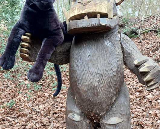 British big cats exhibition at Dean Heritage Centre