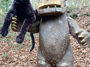 British big cats exhibition at Dean Heritage Centre