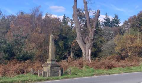 40mph limit call to stop 'bloody carnage' on Forest roads