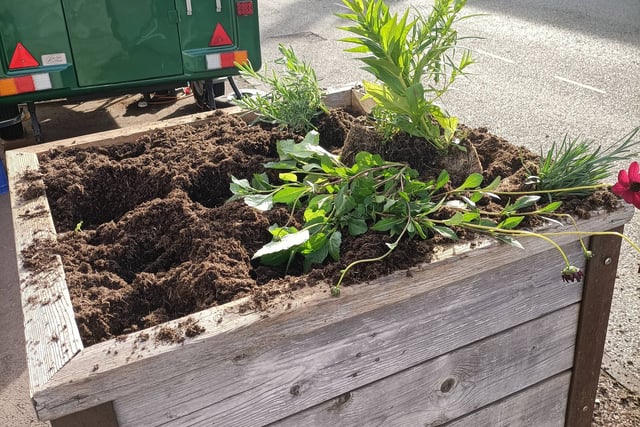 'Mindless act' as vandals target planters