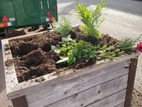 'Mindless act' as vandals target planters
