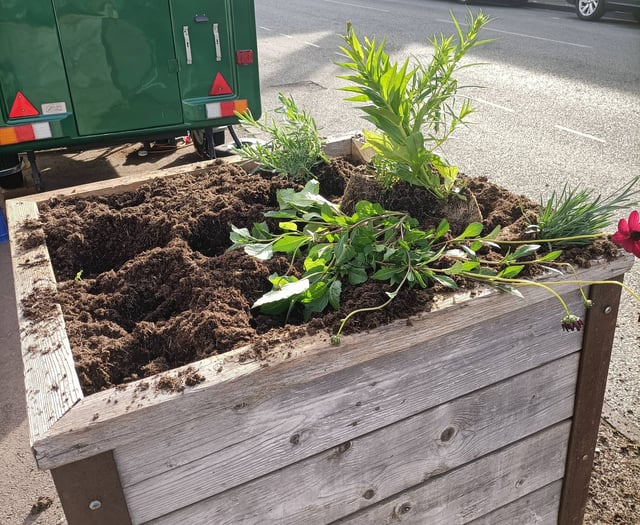 'Mindless act' as vandals target planters