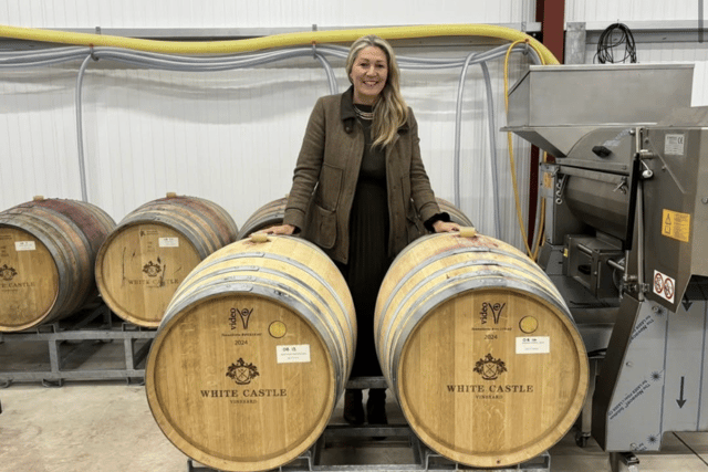 Welsh wine week: Monmouthshire vineyards celebrate success