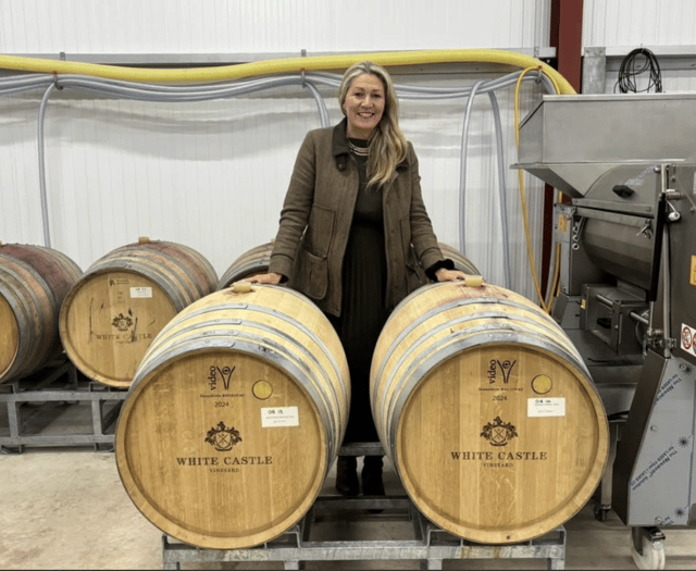 Welsh wine week: Monmouthshire vineyards celebrate success