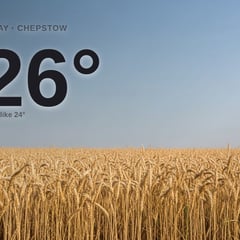 Chepstow: sunny day, high of 26°C