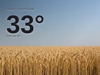 Chepstow: sunny day, high of 33°C